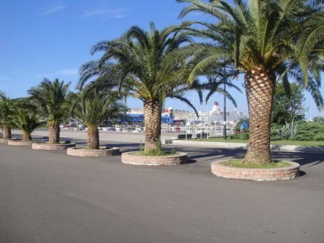 Апартаменты Apartments Maljevic Бар-120