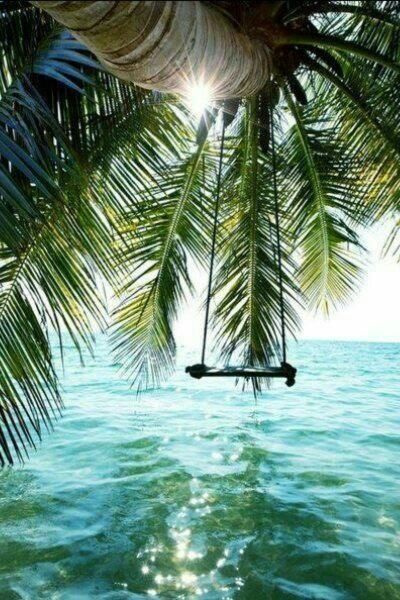 Апартаменты Apartments Maljevic Бар-53