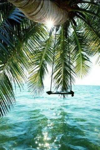 Апартаменты Apartments Maljevic Бар Апартаменты с 1 спальней-14