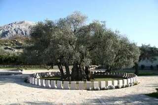 Апартаменты Apartments Maljevic Бар Апартаменты с 1 спальней-24