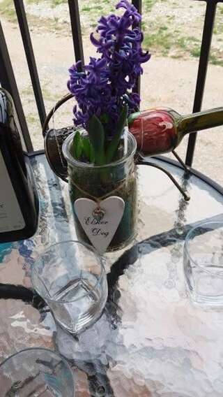 Апартаменты Apartments Maljevic Бар Апартаменты с 1 спальней-34