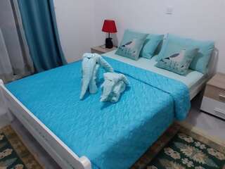 Апартаменты Apartments Maljevic Бар Апартаменты с 1 спальней-7