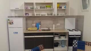 Апартаменты Apartments Maljevic Бар Апартаменты с 1 спальней-56