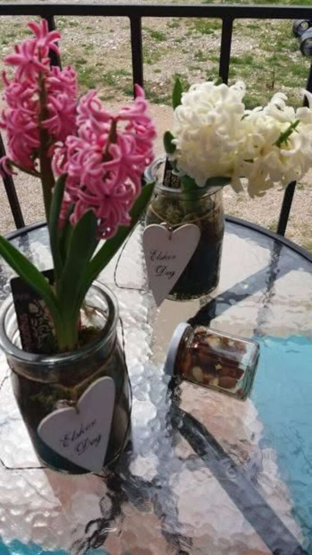 Апартаменты Apartments Maljevic Бар-74